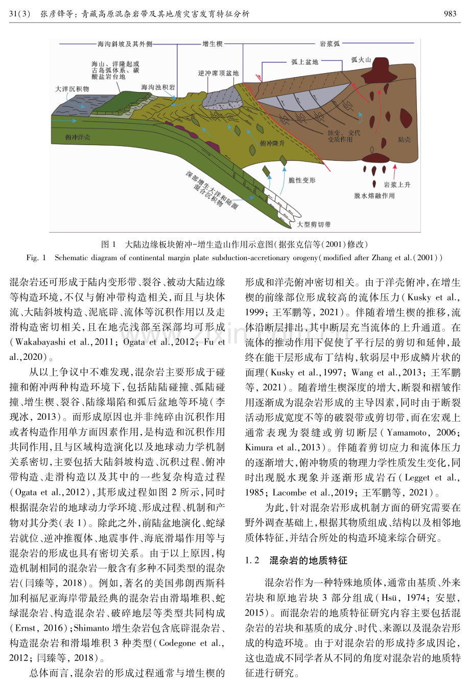 青藏高原混杂岩带及其地质灾害发育特征分析.pdf_第3页