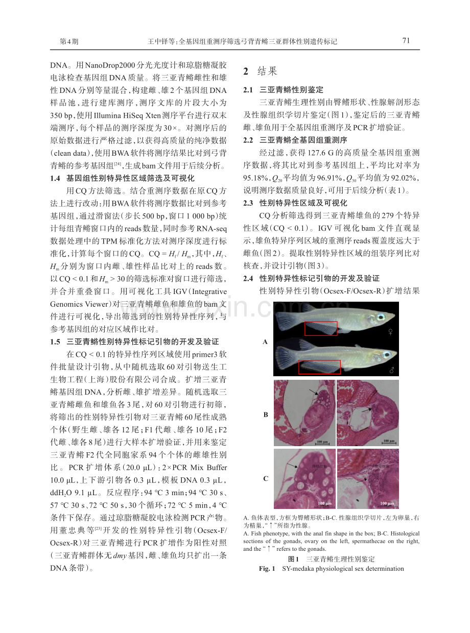 全基因组重测序筛选弓背青鳉三亚群体性别遗传标记.pdf_第3页