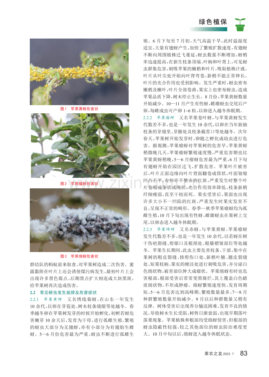 浅谈苹果园蚜虫的发生与防治.pdf_第2页