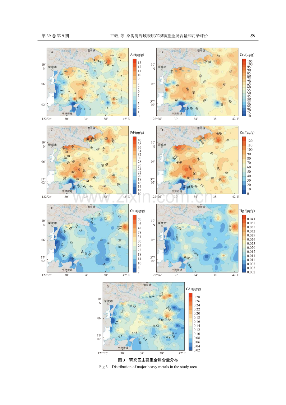 桑沟湾海域表层沉积物重金属含量和污染评价.pdf_第3页