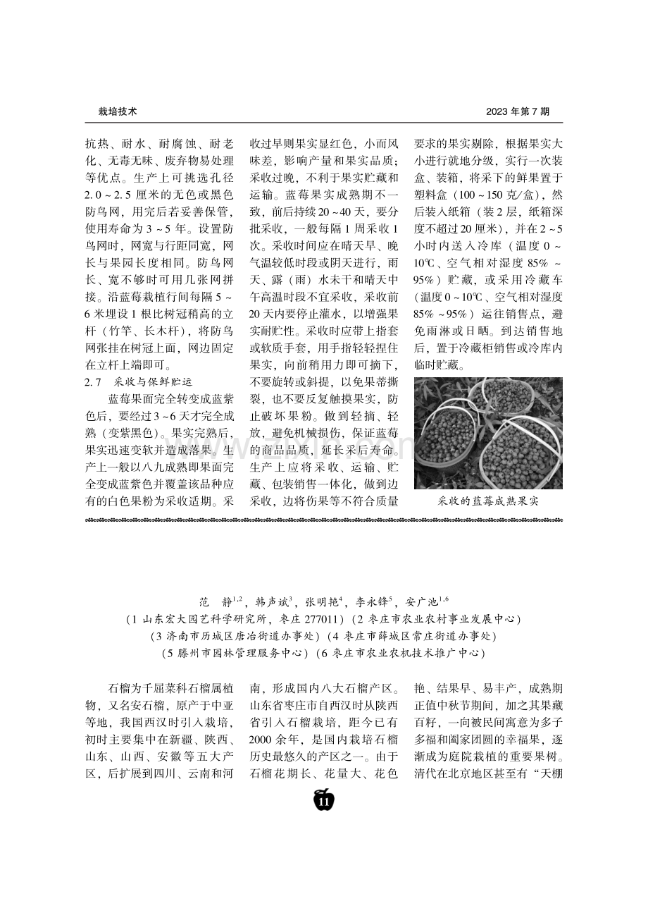 石榴庭院栽培配套技术.pdf_第1页