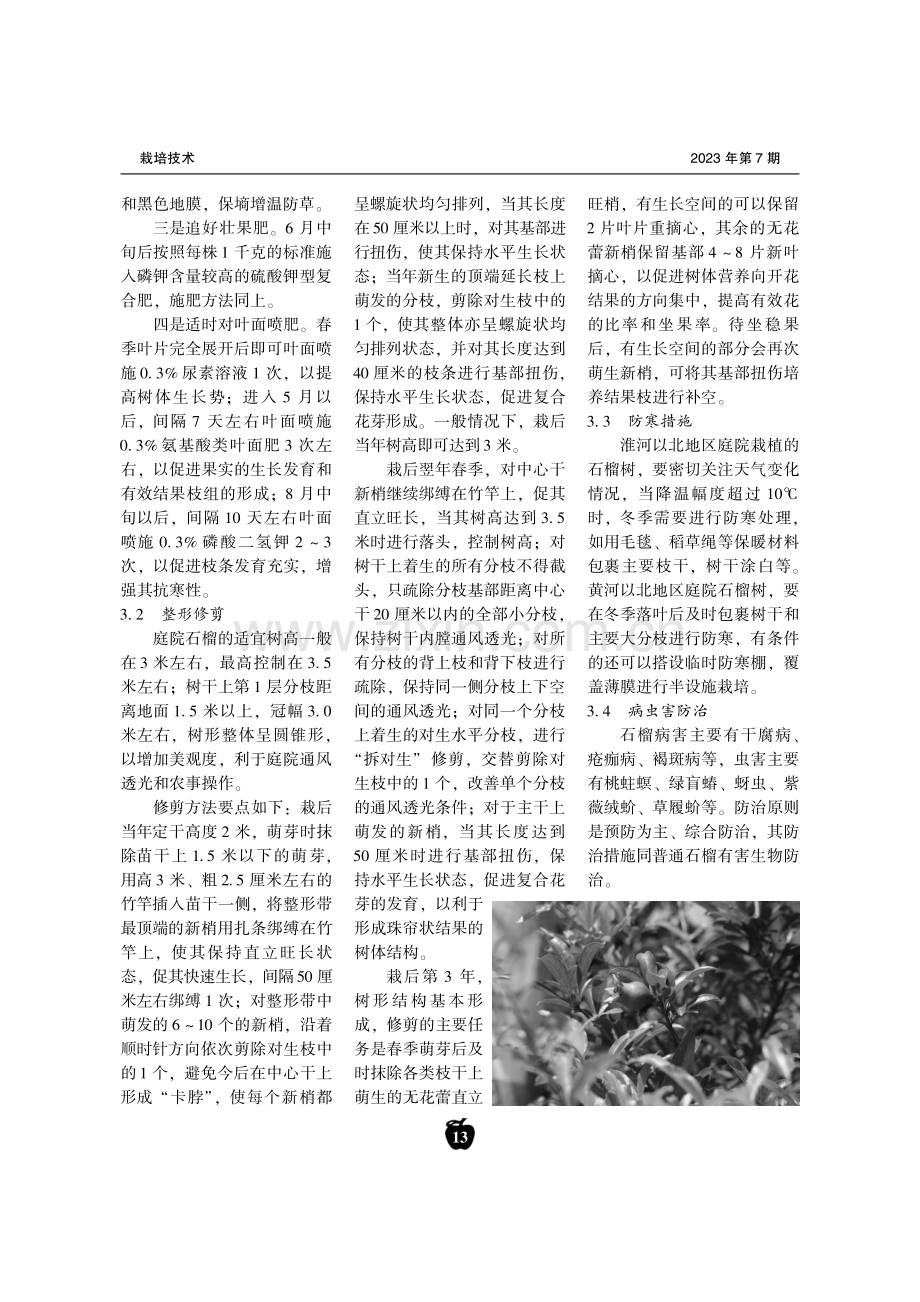 石榴庭院栽培配套技术.pdf_第3页