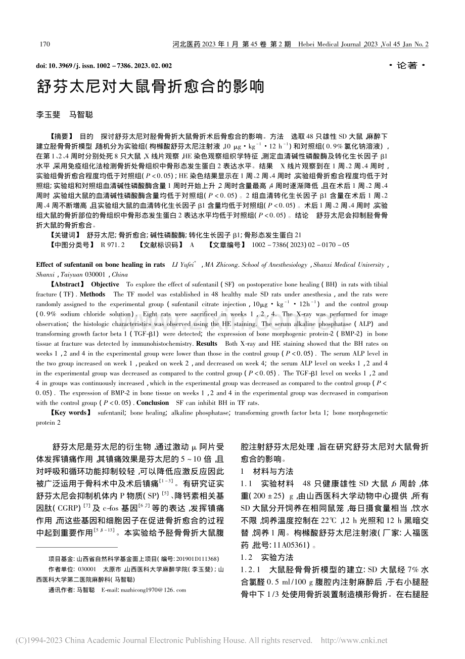 舒芬太尼对大鼠骨折愈合的影响_李玉斐.pdf_第1页