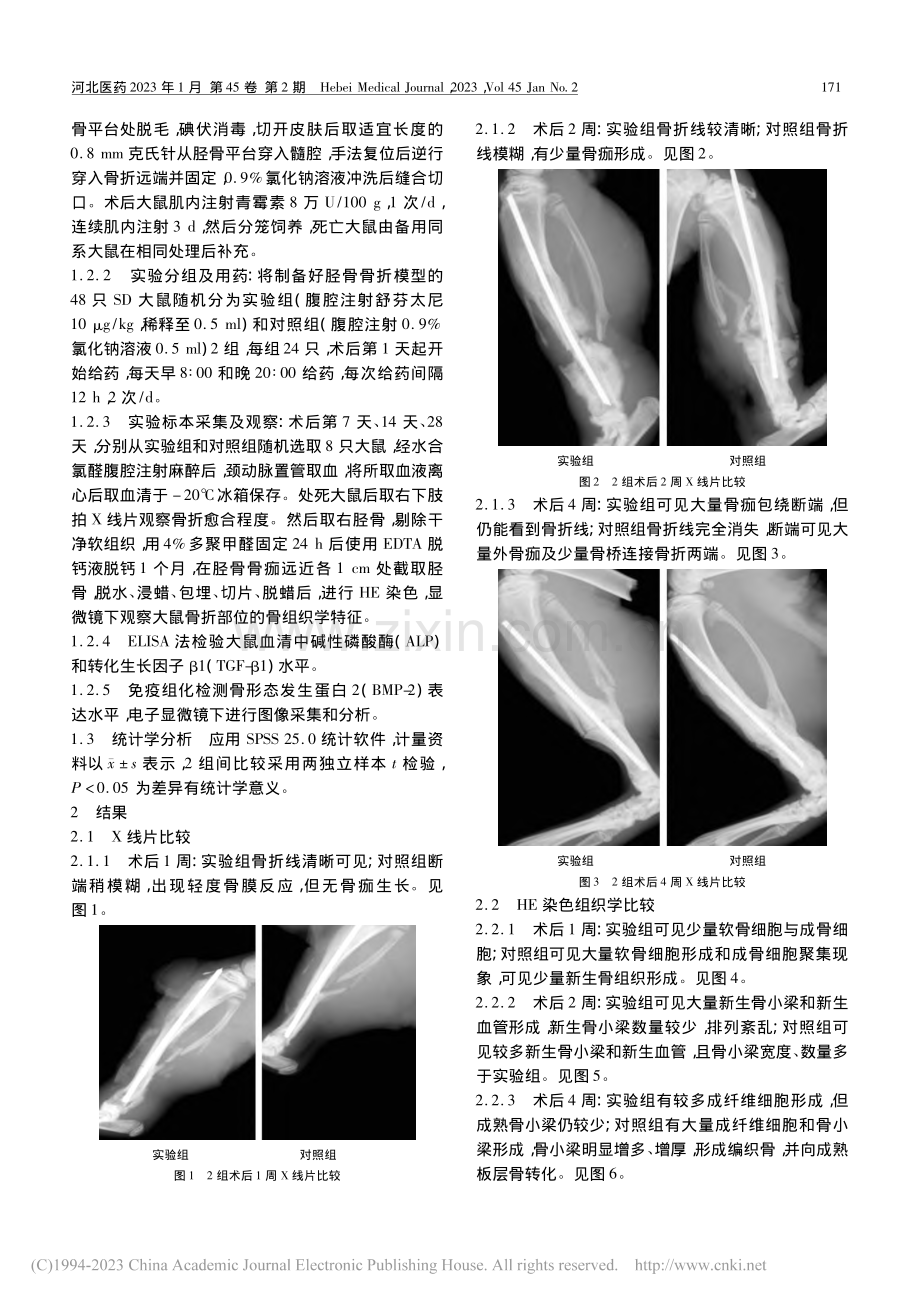 舒芬太尼对大鼠骨折愈合的影响_李玉斐.pdf_第2页