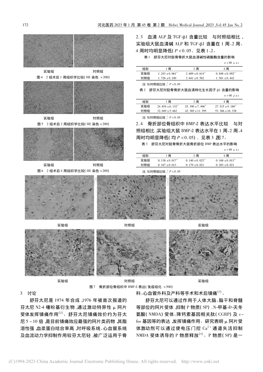 舒芬太尼对大鼠骨折愈合的影响_李玉斐.pdf_第3页