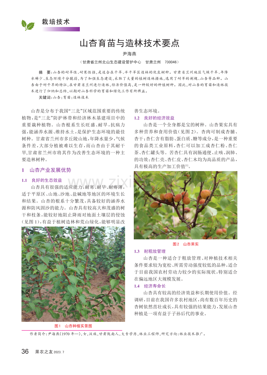 山杏育苗与造林技术要点.pdf_第1页