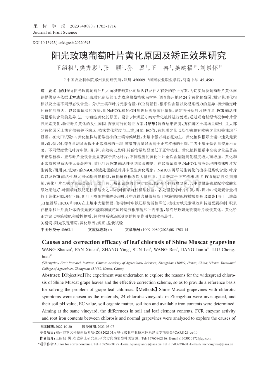 阳光玫瑰葡萄叶片黄化原因及矫正效果研究.pdf_第1页