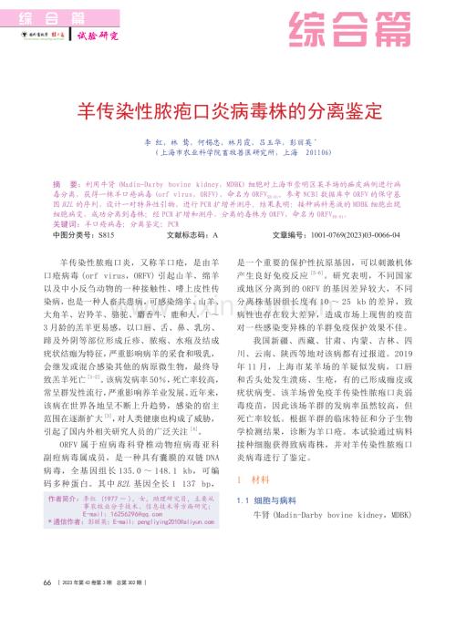 羊传染性脓疱口炎病毒株的分离鉴定_李红.pdf