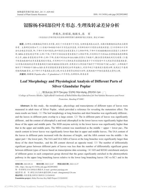 银腺杨不同部位叶片形态、生理及转录差异分析_毕楷杰.pdf