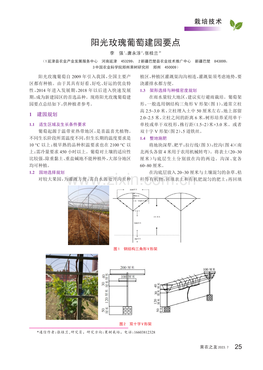 阳光玫瑰葡萄建园要点.pdf_第1页