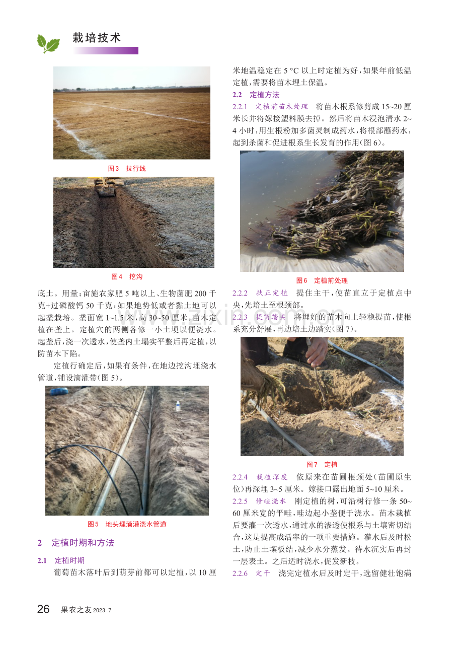 阳光玫瑰葡萄建园要点.pdf_第2页