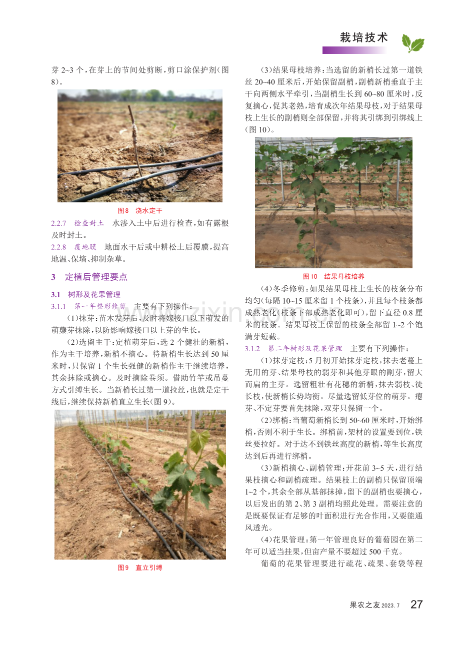 阳光玫瑰葡萄建园要点.pdf_第3页