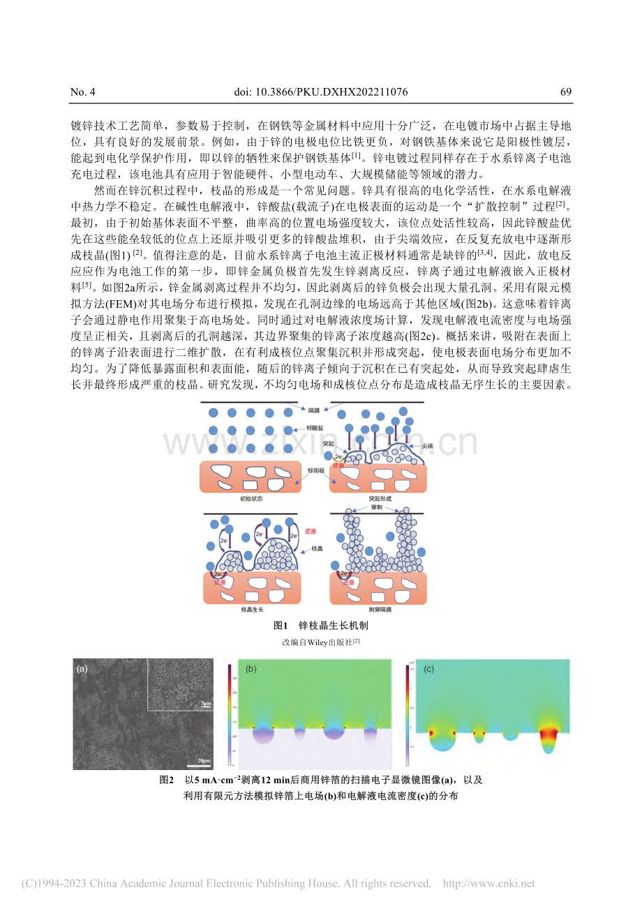 锌金属电镀过程中锌枝晶的生长行为及影响因素_孙旦.pdf_第2页