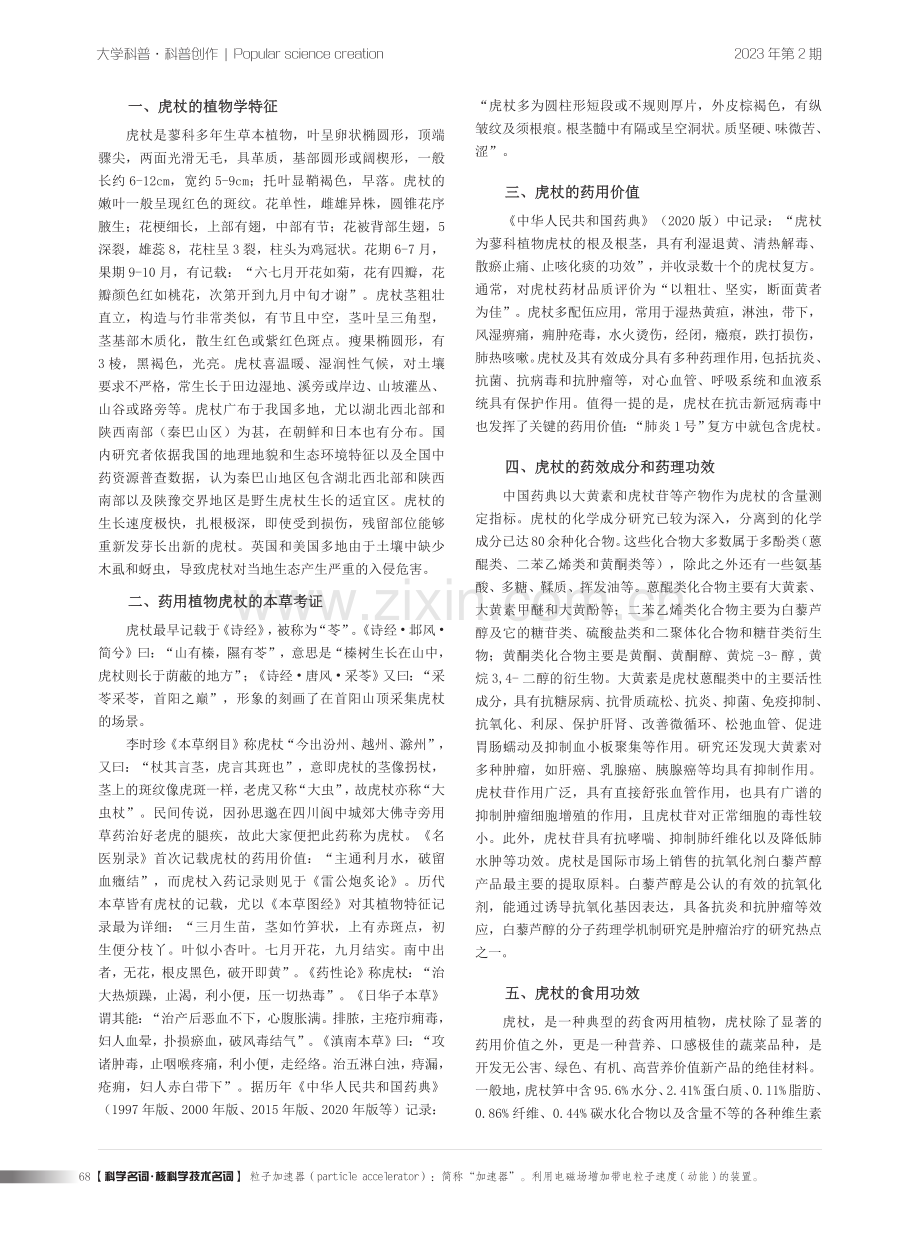 药用植物虎杖的前世今生.pdf_第2页