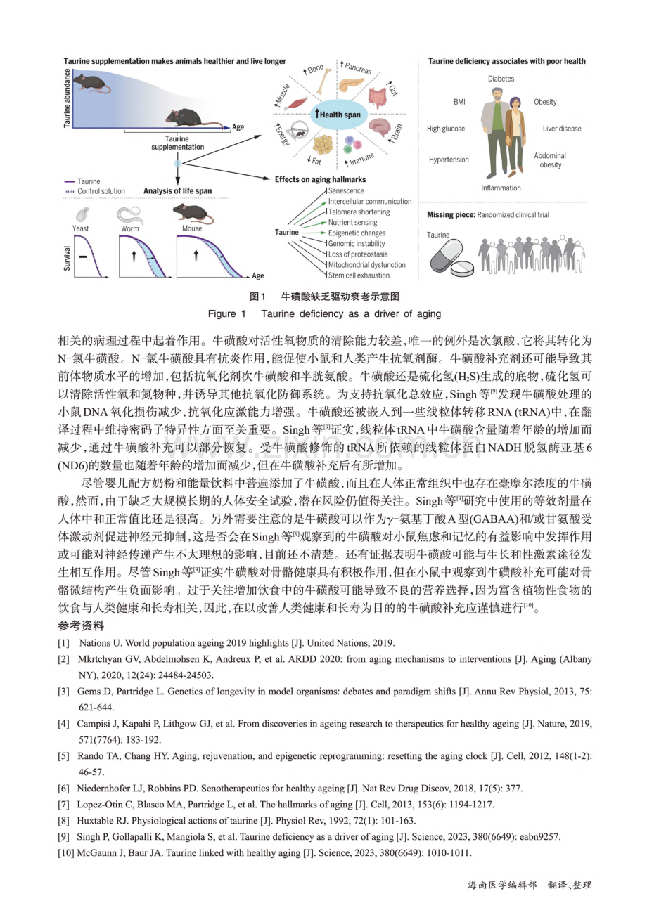 研究揭示牛磺酸缺乏是衰老的驱动因素.pdf_第2页