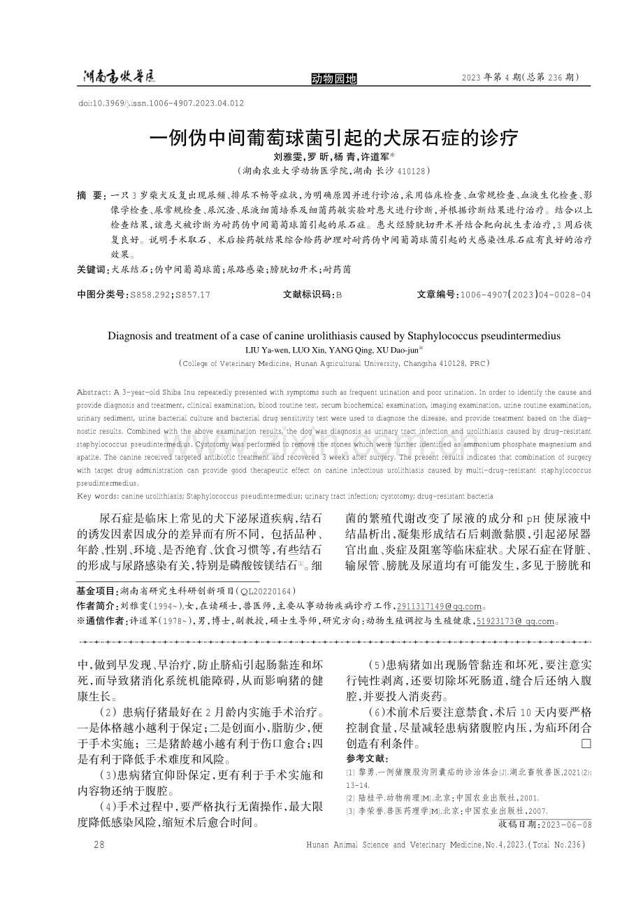 一例伪中间葡萄球菌引起的犬尿石症的诊疗.pdf_第1页