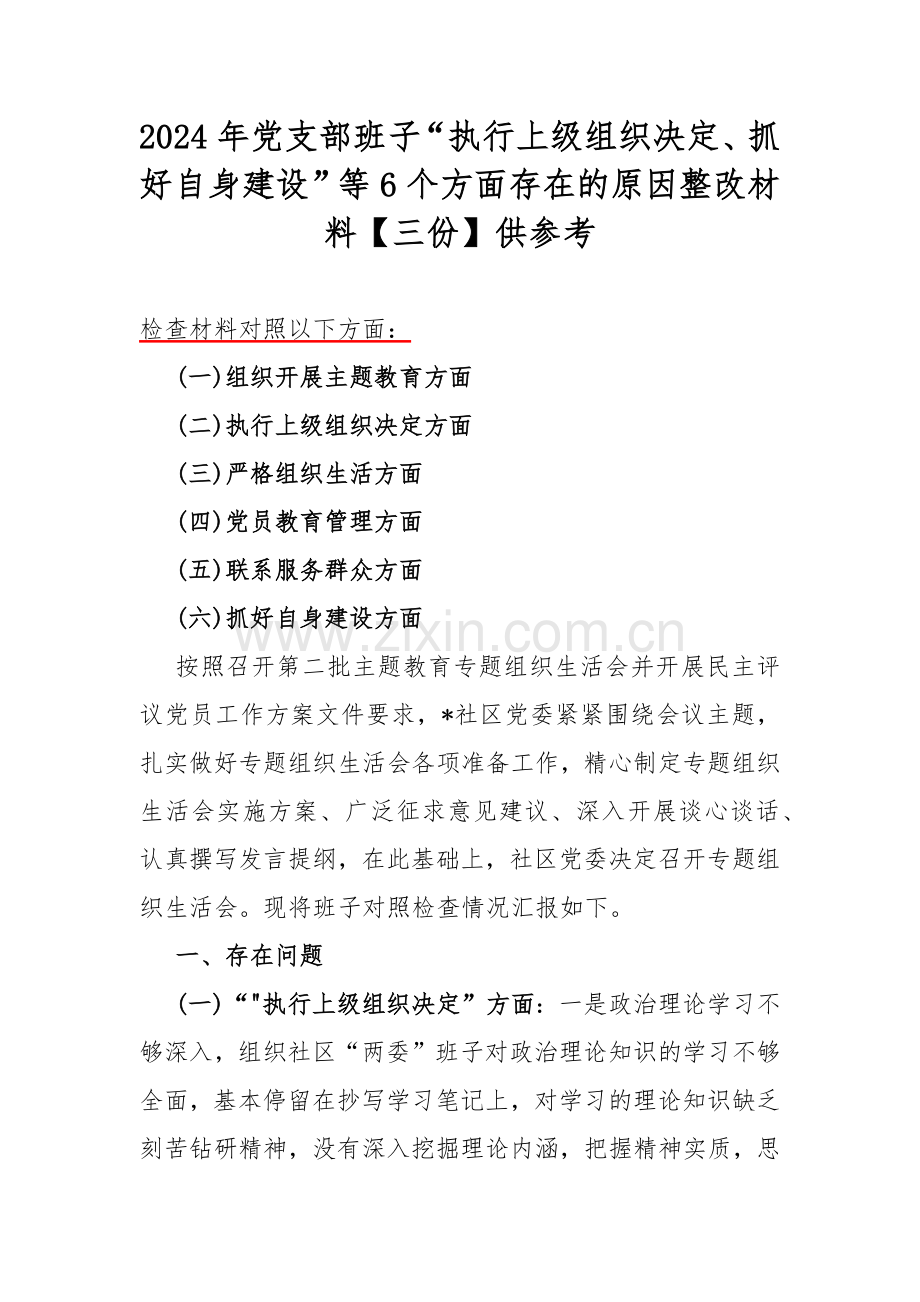 2024年党支部班子“执行上级组织决定、抓好自身建设”等6个方面存在的原因整改材料【三份】供参考.docx_第1页