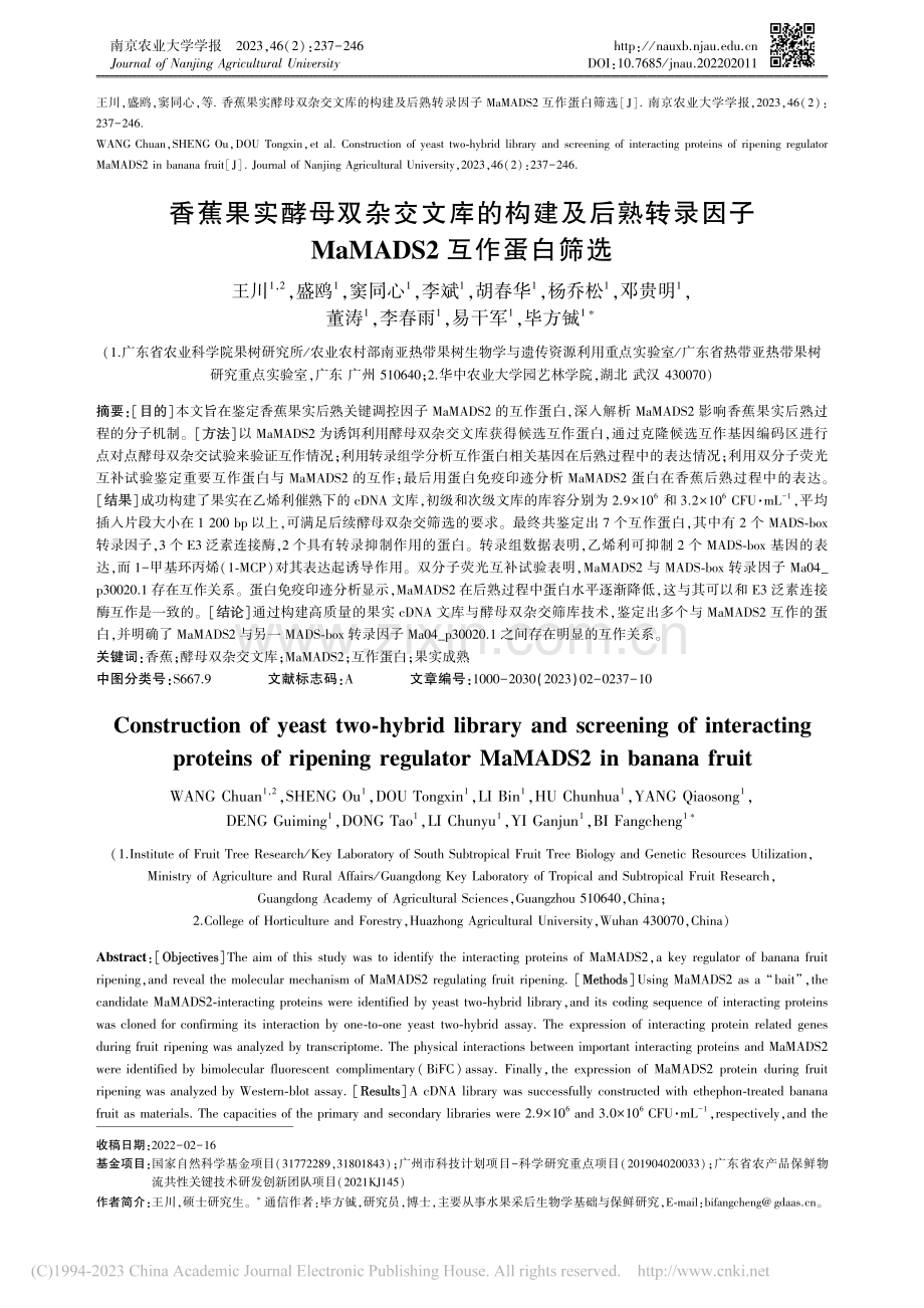 香蕉果实酵母双杂交文库的构...MaMADS2互作蛋白筛选_王川.pdf_第1页