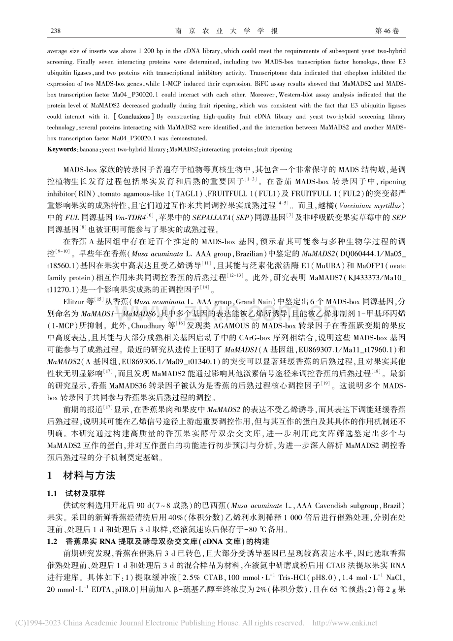 香蕉果实酵母双杂交文库的构...MaMADS2互作蛋白筛选_王川.pdf_第2页