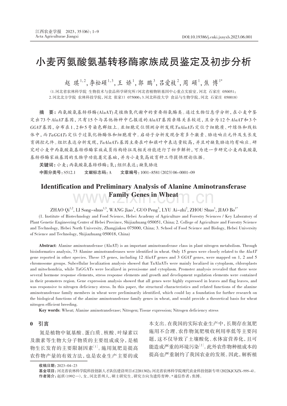 小麦丙氨酸氨基转移酶家族成员鉴定及初步分析.pdf_第1页