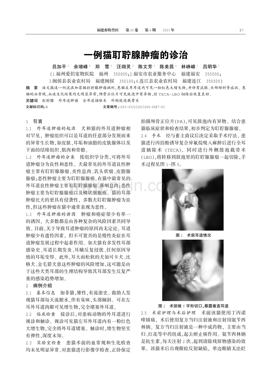 一例猫耵聍腺肿瘤的诊治.pdf_第1页