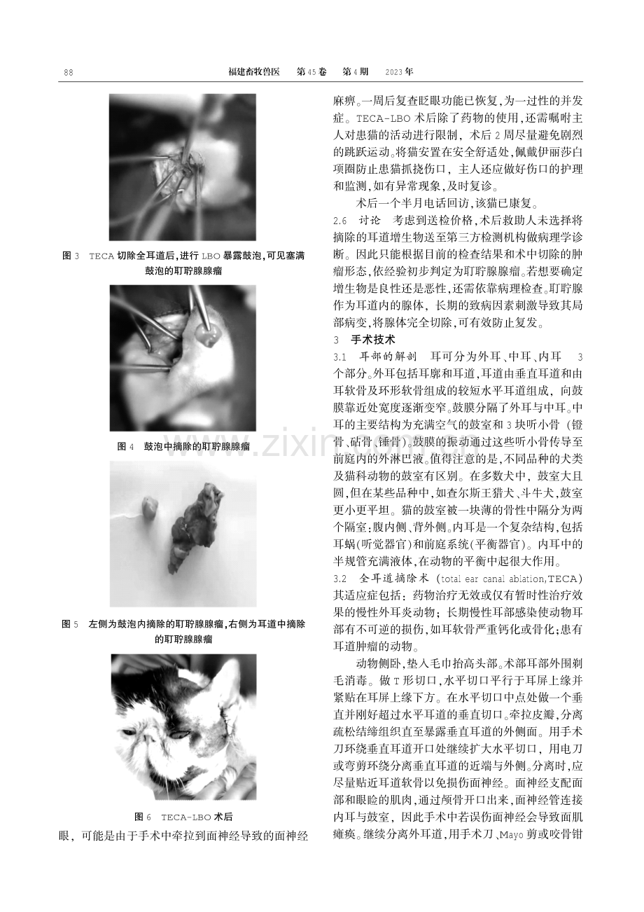 一例猫耵聍腺肿瘤的诊治.pdf_第2页