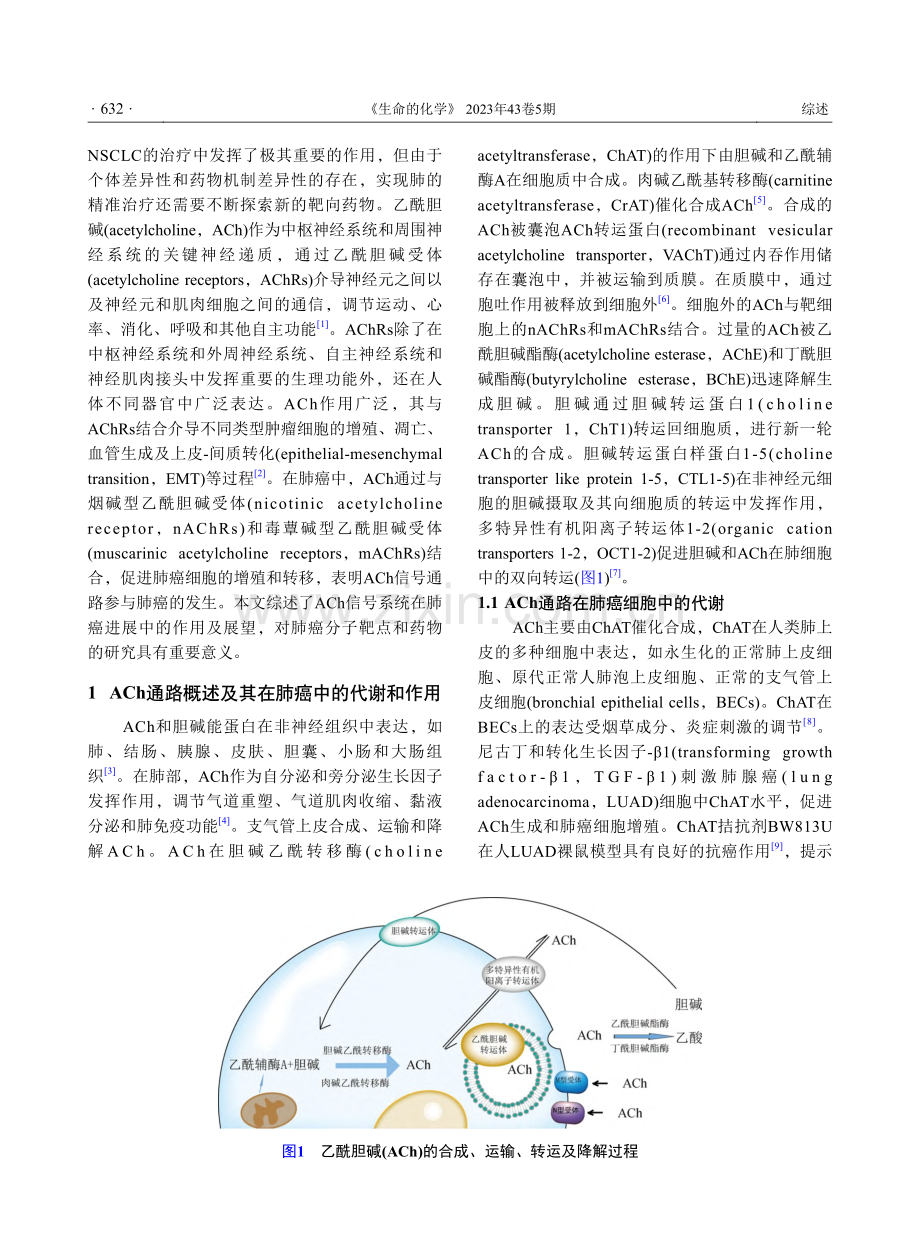 乙酰胆碱信号通路在肺癌中的作用_李静坦.pdf_第2页