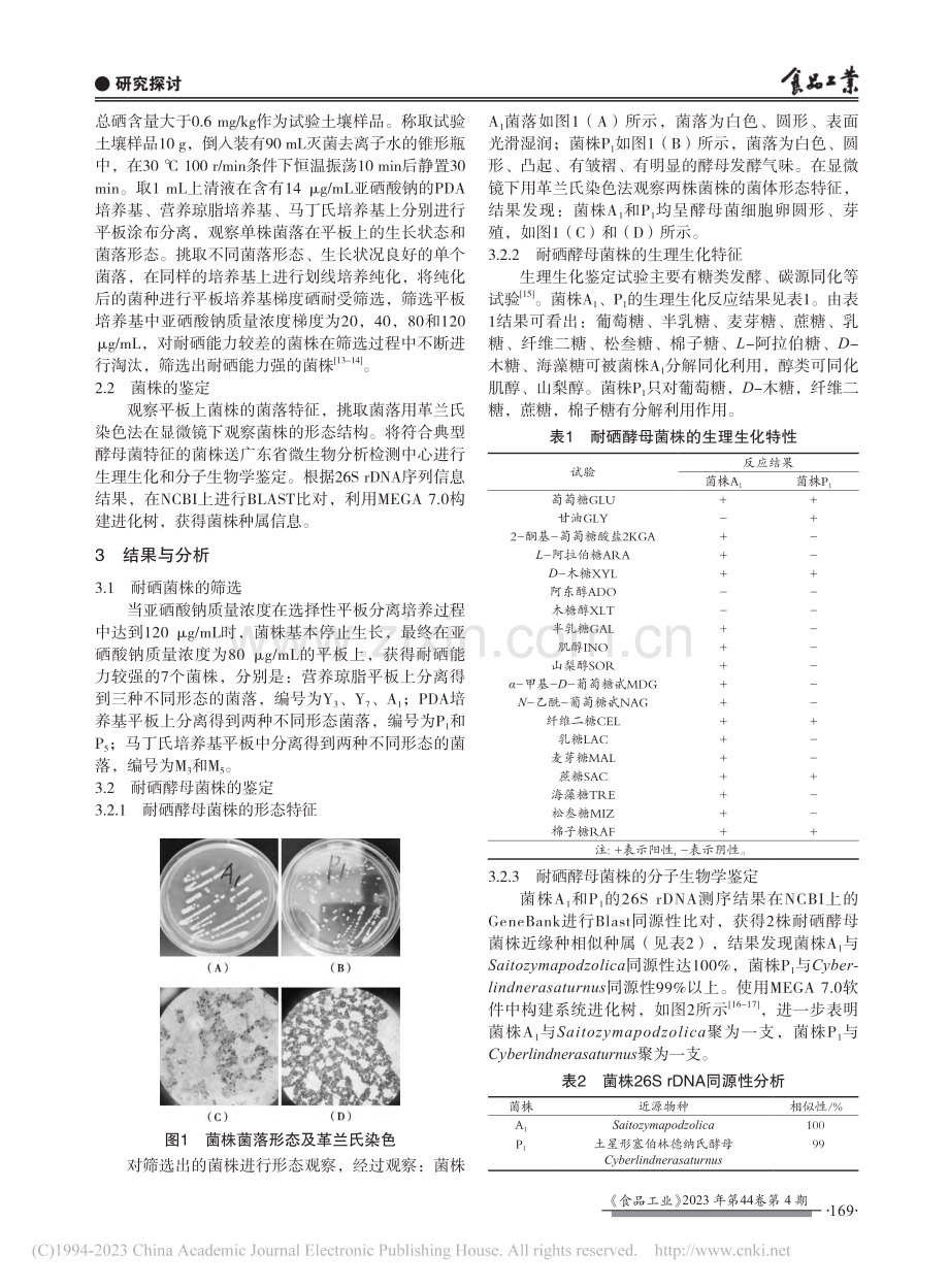 宜春明月山富硒土壤中耐硒酵母菌株的筛选与鉴定_包珍.pdf_第2页