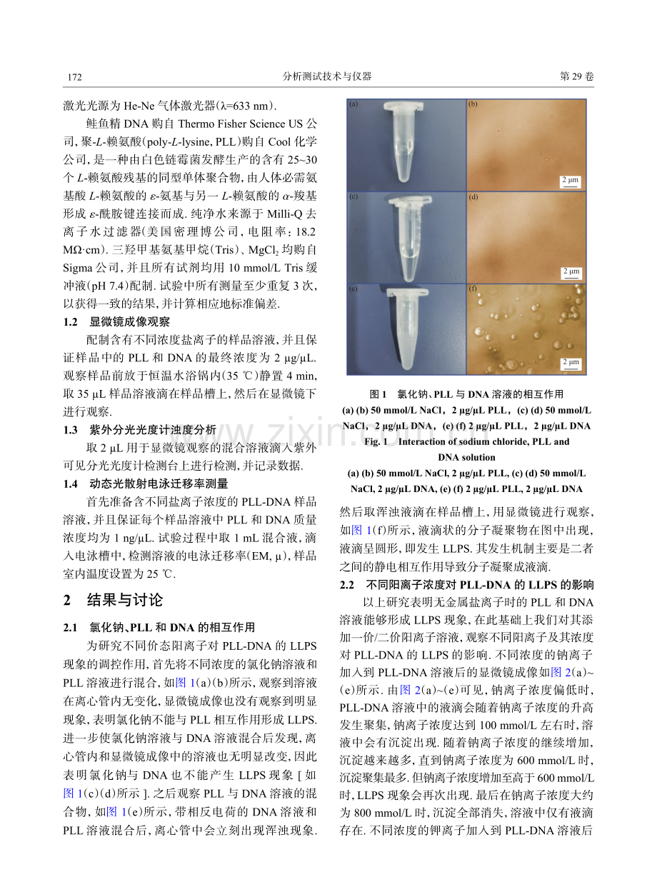 一价_二价阳离子浓度对蛋白质-核酸液液相分离的调控.pdf_第3页