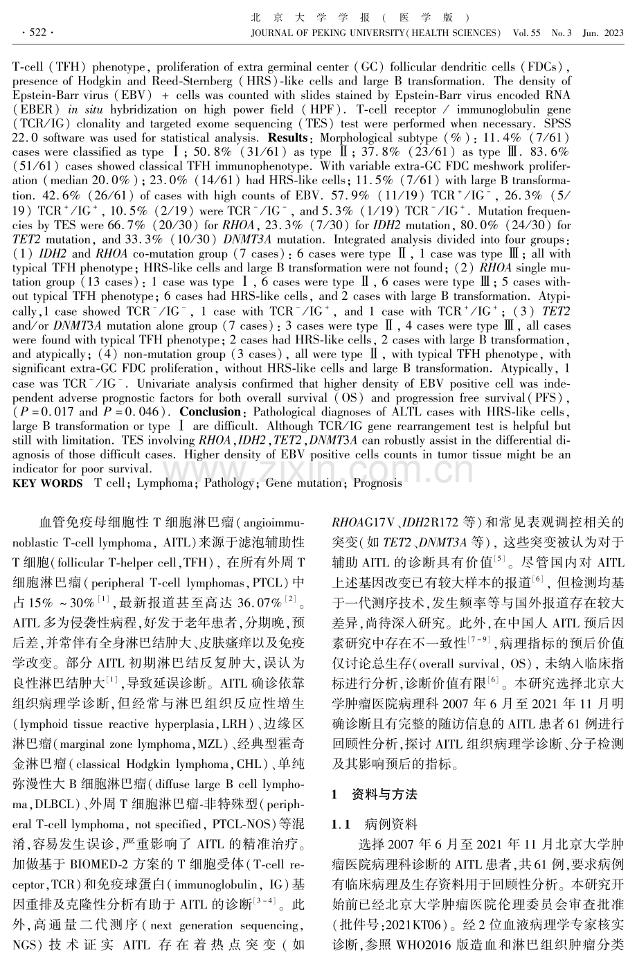 血管免疫母细胞性T细胞淋巴瘤临床与分子病理学特征分析.pdf_第2页