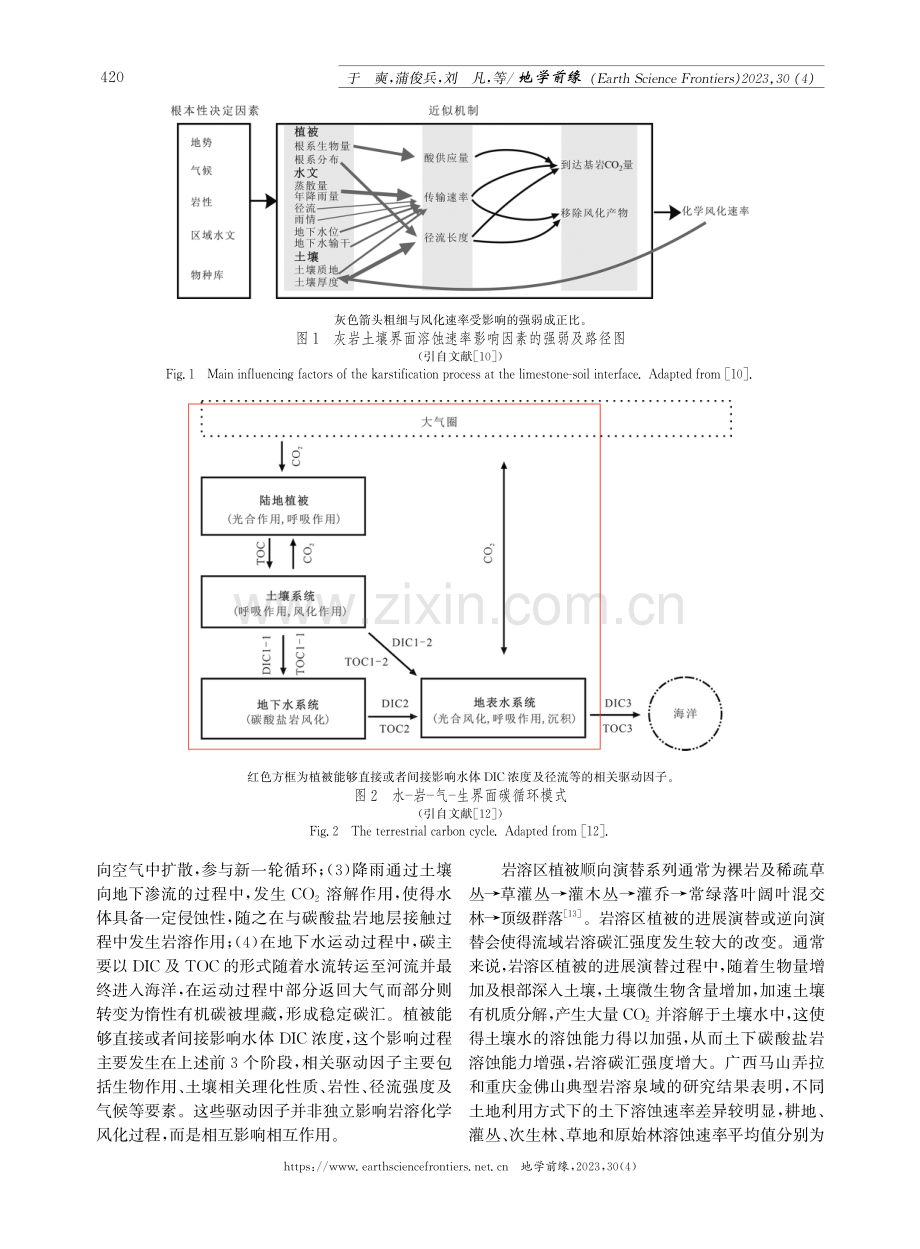 岩溶碳汇效应对植被的响应研究进展.pdf_第3页