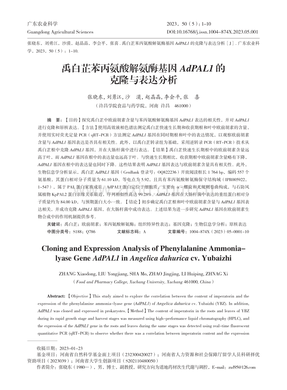 禹白芷苯丙氨酸解氨酶基因AdPAL1的克隆与表达分析_张晓东.pdf_第1页