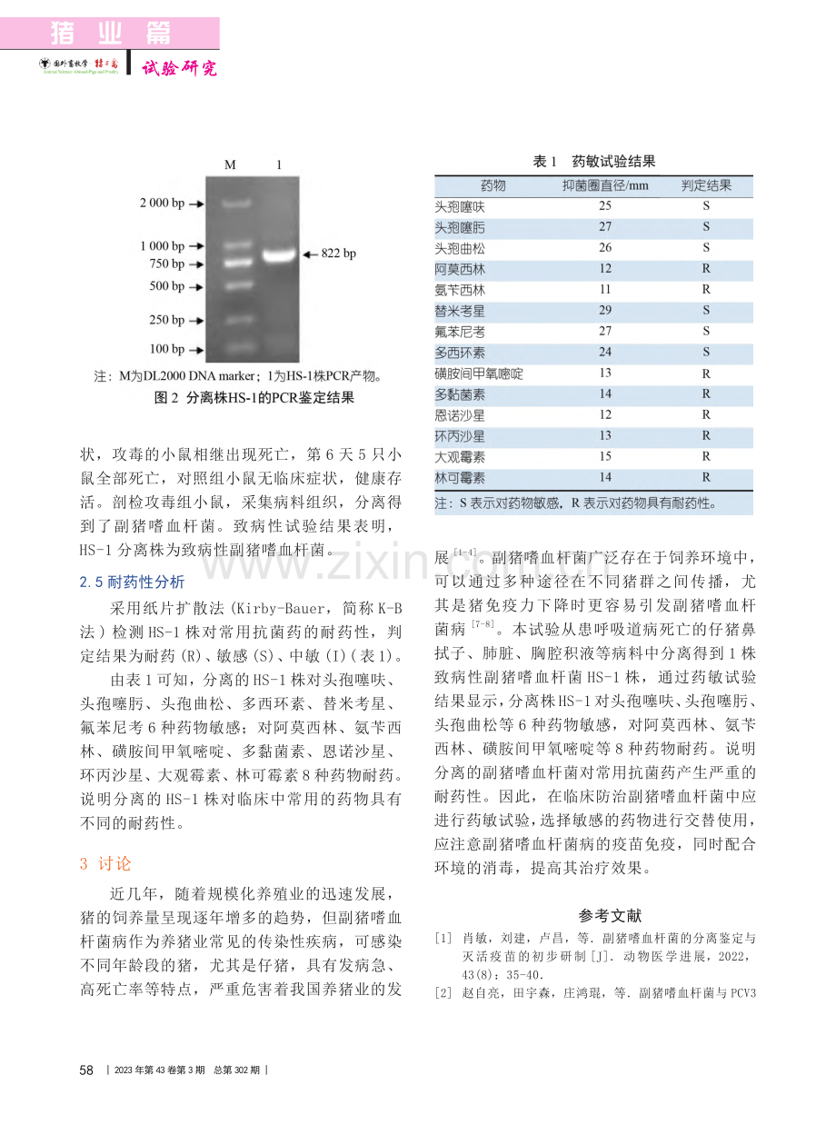 仔猪副猪嗜血杆菌的分离鉴定及耐药性检测_张新慧.pdf_第3页