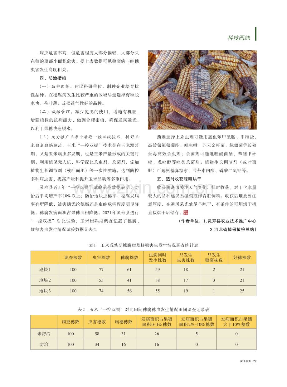 玉米穗腐病的发生与防治.pdf_第2页