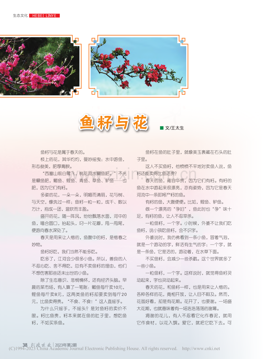 鱼籽与花_王太生.pdf_第1页