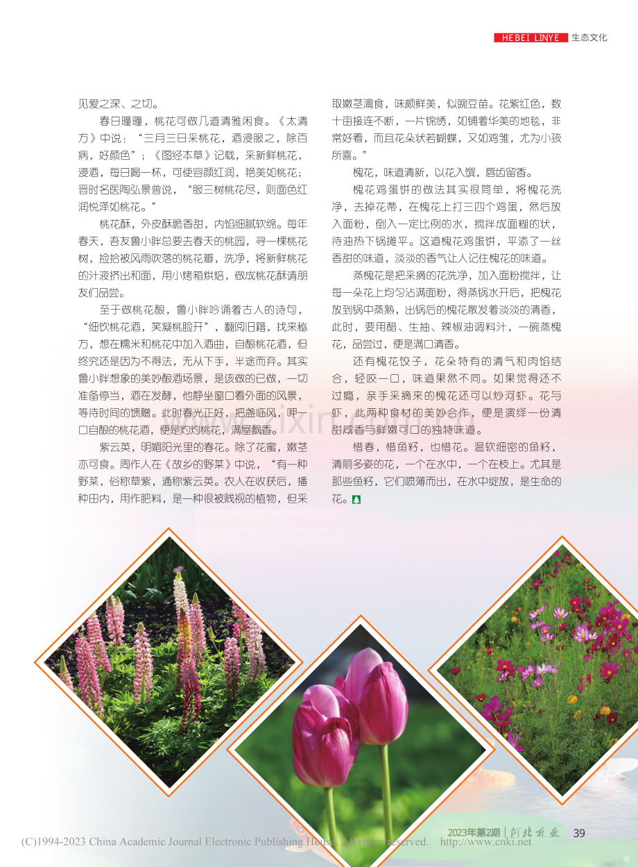 鱼籽与花_王太生.pdf_第2页