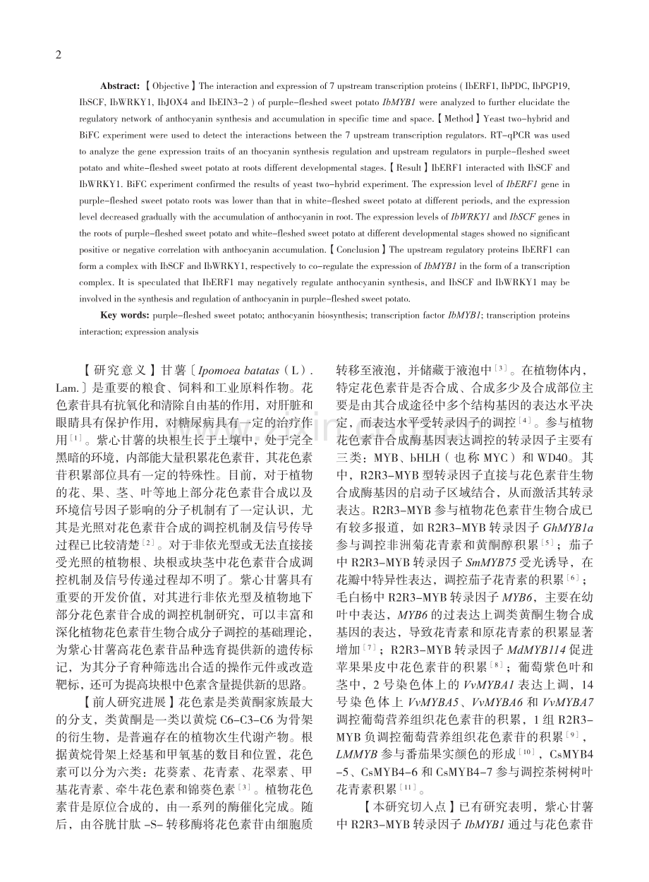 紫心甘薯IbMYB1上游7个调控蛋白的互作与表达分析.pdf_第2页