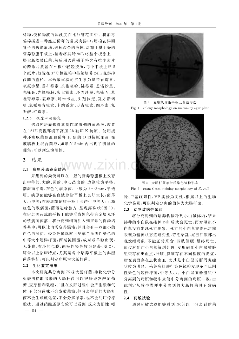 致犊牛腹泻大肠杆菌的分离培养与药敏试验_思汗.pdf_第2页