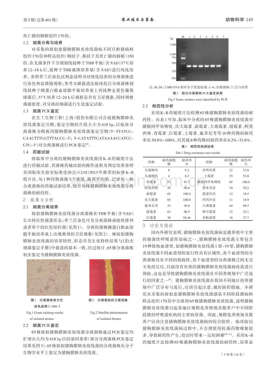 猪胸膜肺炎放线菌分离鉴定与耐药性检测_吕凤禄.pdf_第2页