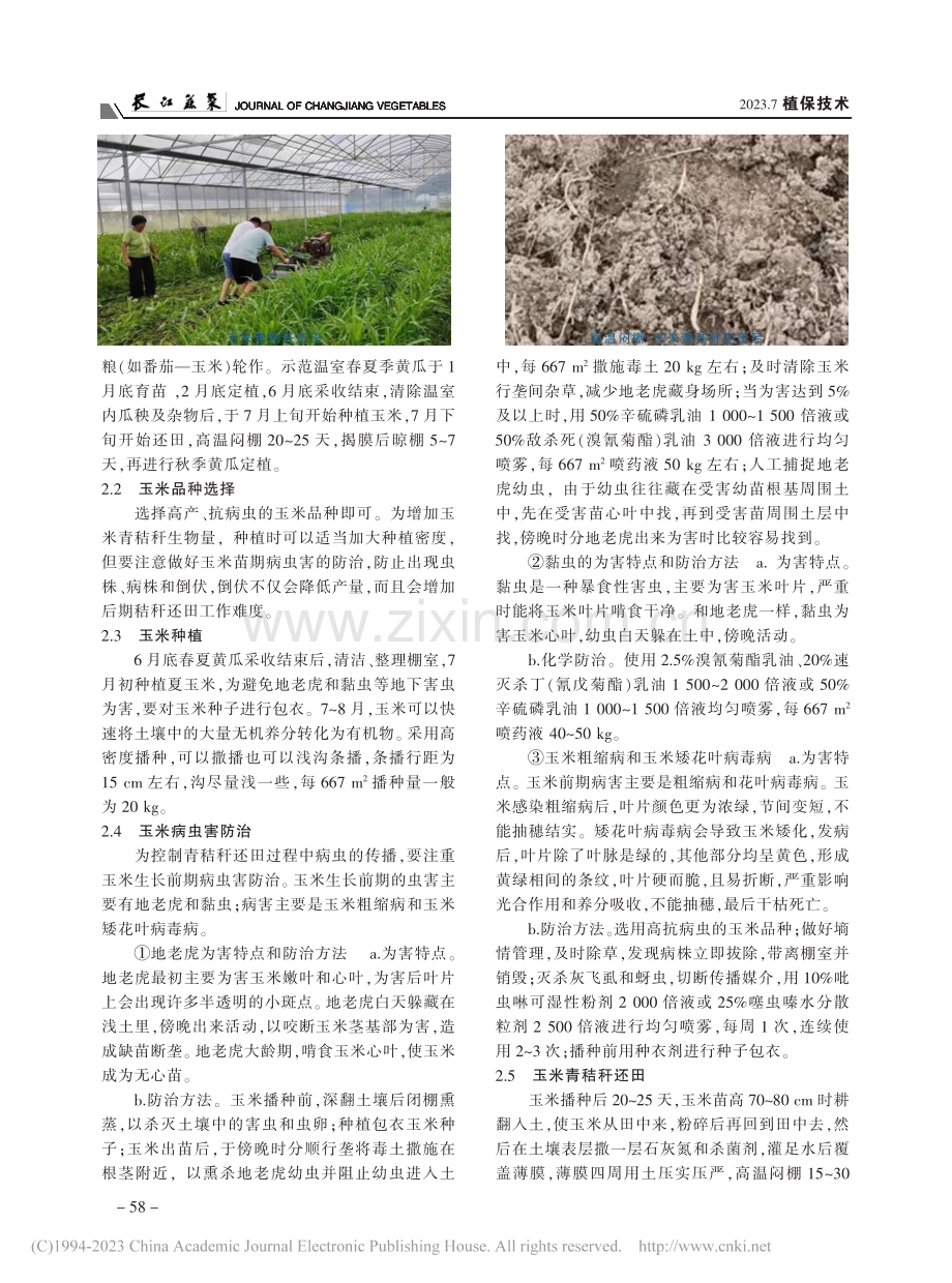 玉米青秸秆还田生物修复设施土壤技术_陈月桂.pdf_第2页