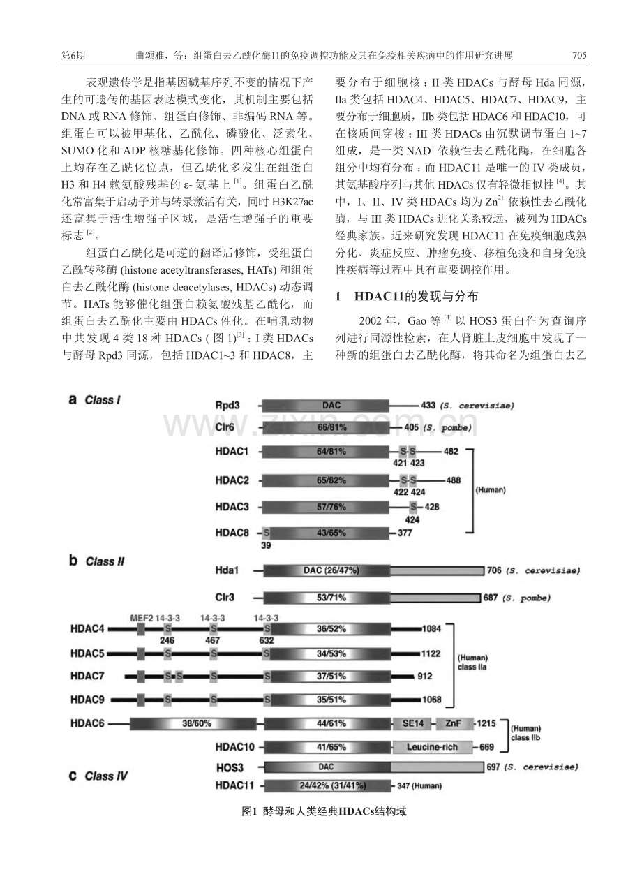 组蛋白去乙酰化酶11的免疫...疫相关疾病中的作用研究进展_曲颂雅.pdf_第2页