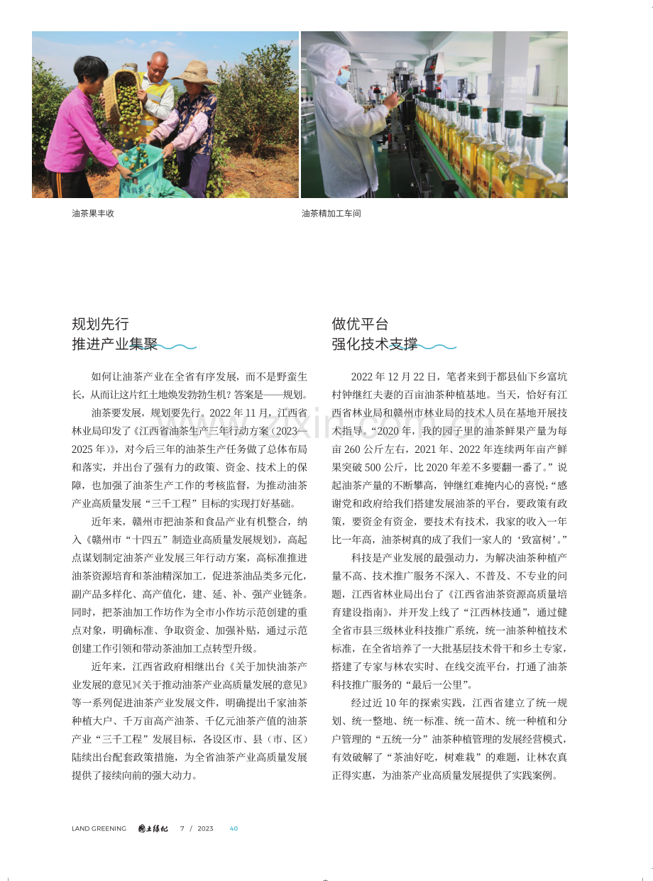 油茶产业 推动乡村振兴的新引擎——江西油茶产业高质量发展纪实.pdf_第3页