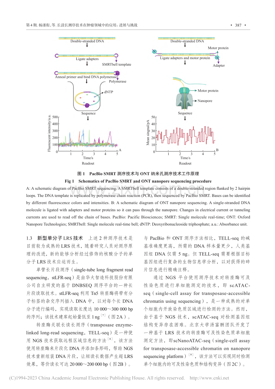 长读长测序技术在肿瘤领域中的应用：进展与挑战_杨谨衔.pdf_第3页