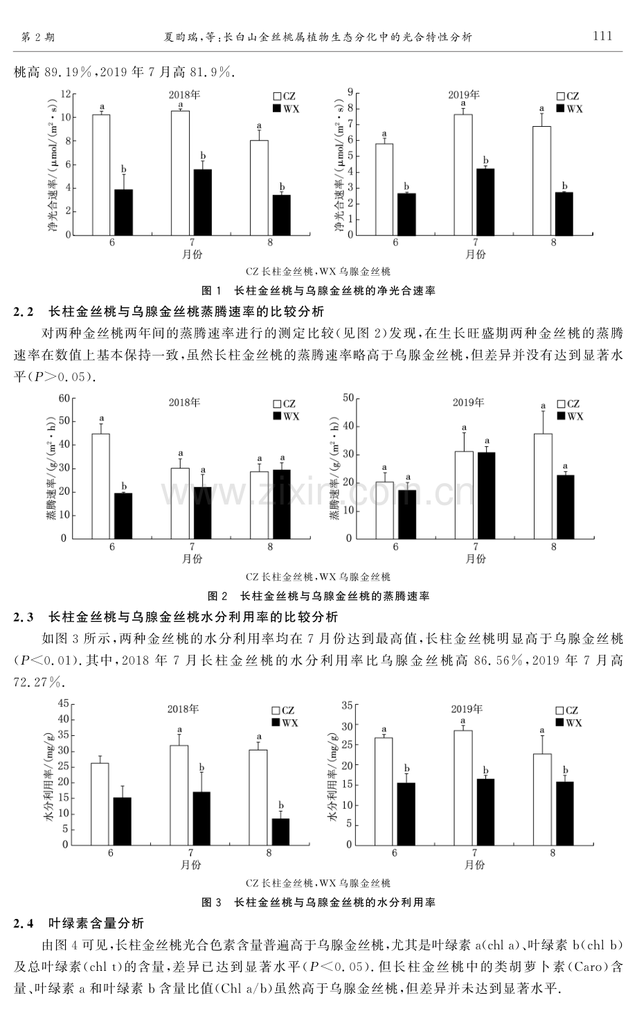 长白山金丝桃属植物生态分化中的光合特性分析.pdf_第3页