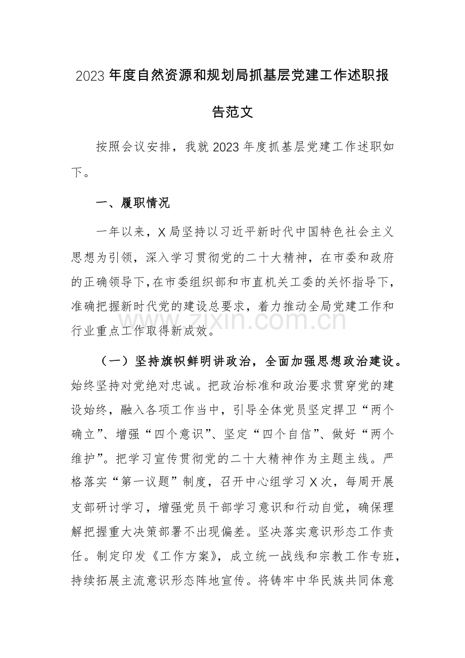 2023年度自然资源和规划局抓基层党建工作述职报告范文.docx_第1页