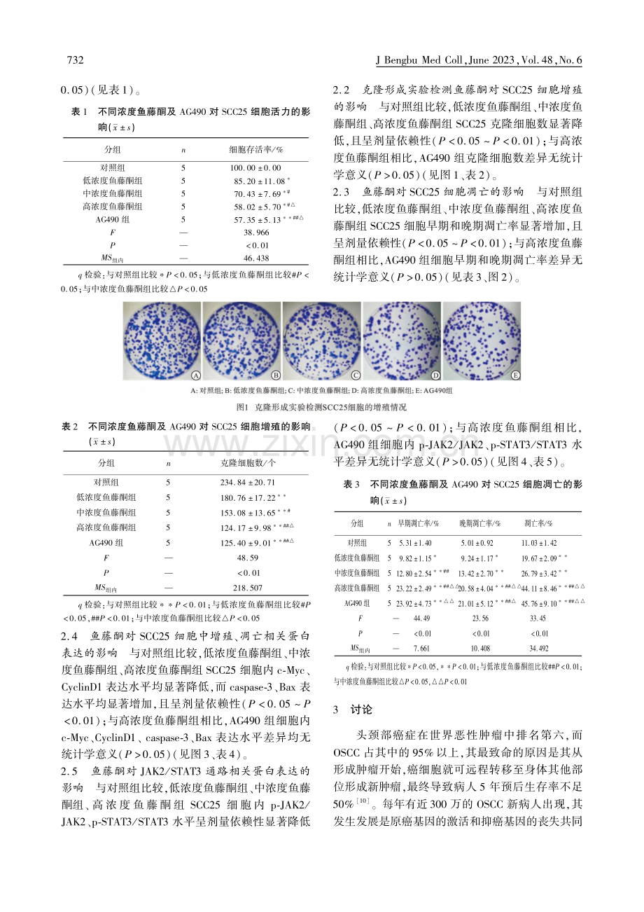 鱼藤酮通过调控JAK_ST...细胞癌细胞增殖、凋亡的影响_马文贤.pdf_第3页