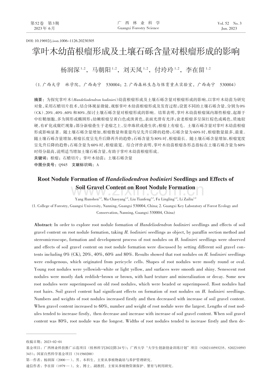 掌叶木幼苗根瘤形成及土壤石砾含量对根瘤形成的影响_杨润深.pdf_第1页