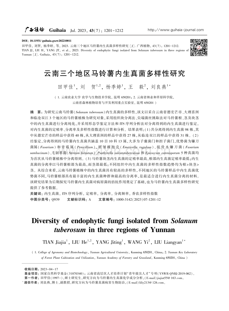 云南三个地区马铃薯内生真菌多样性研究.pdf_第1页