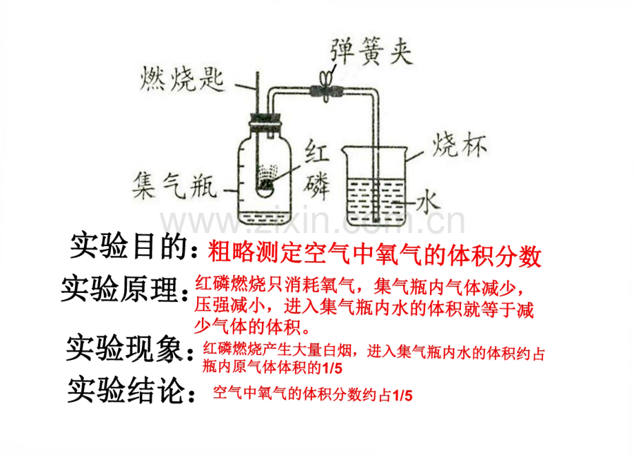 中考化学复习实验专题.pdf_第2页