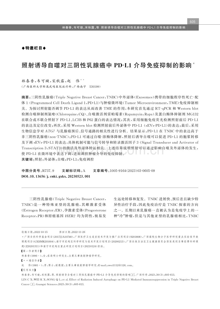 照射诱导自噬对三阴性乳腺癌中PD-L1介导免疫抑制的影响.pdf_第1页